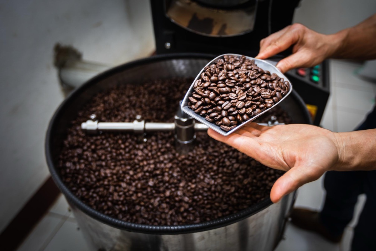 Roastery best practices for maximising Arabica flavour and consistency