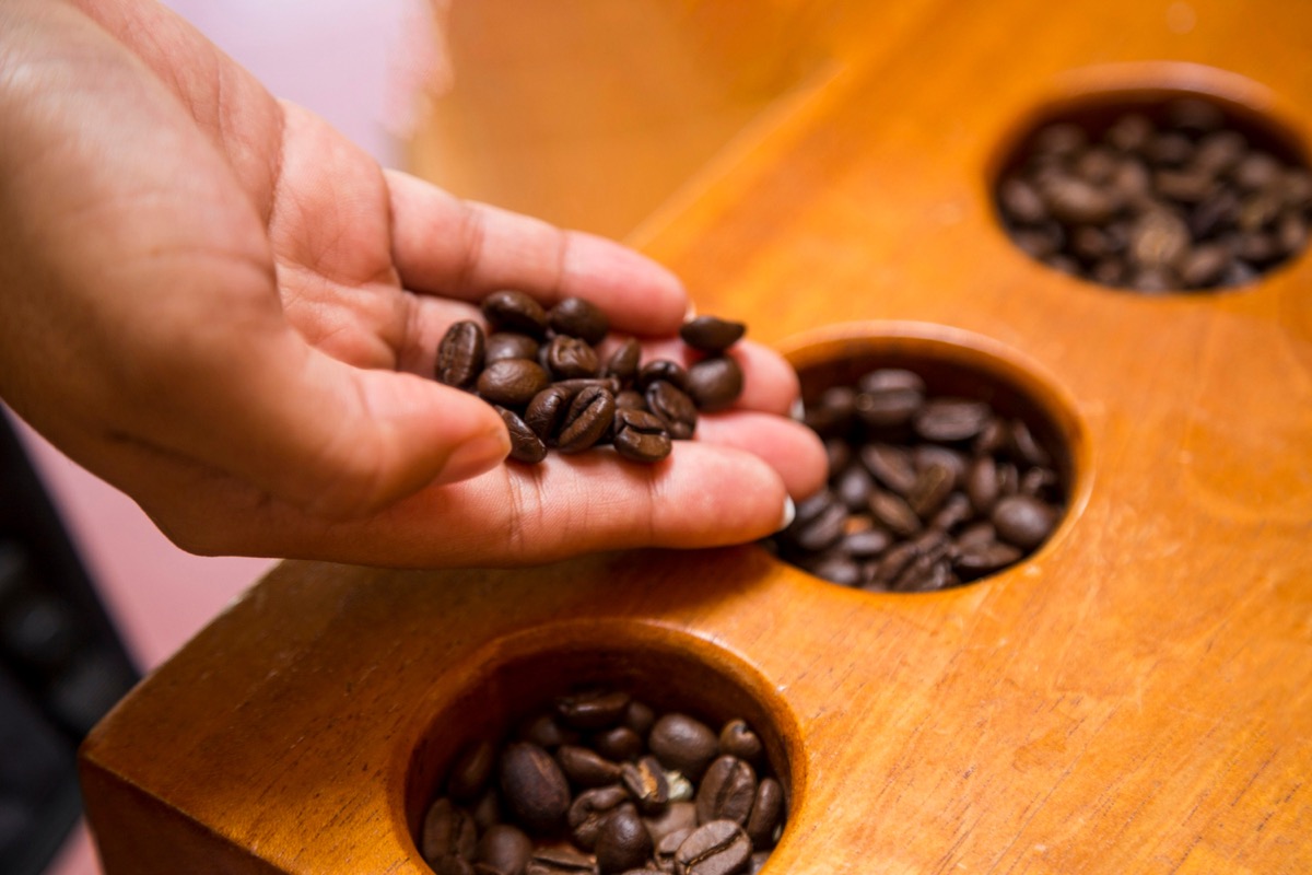 Decaf green coffee beans in a drum roaster