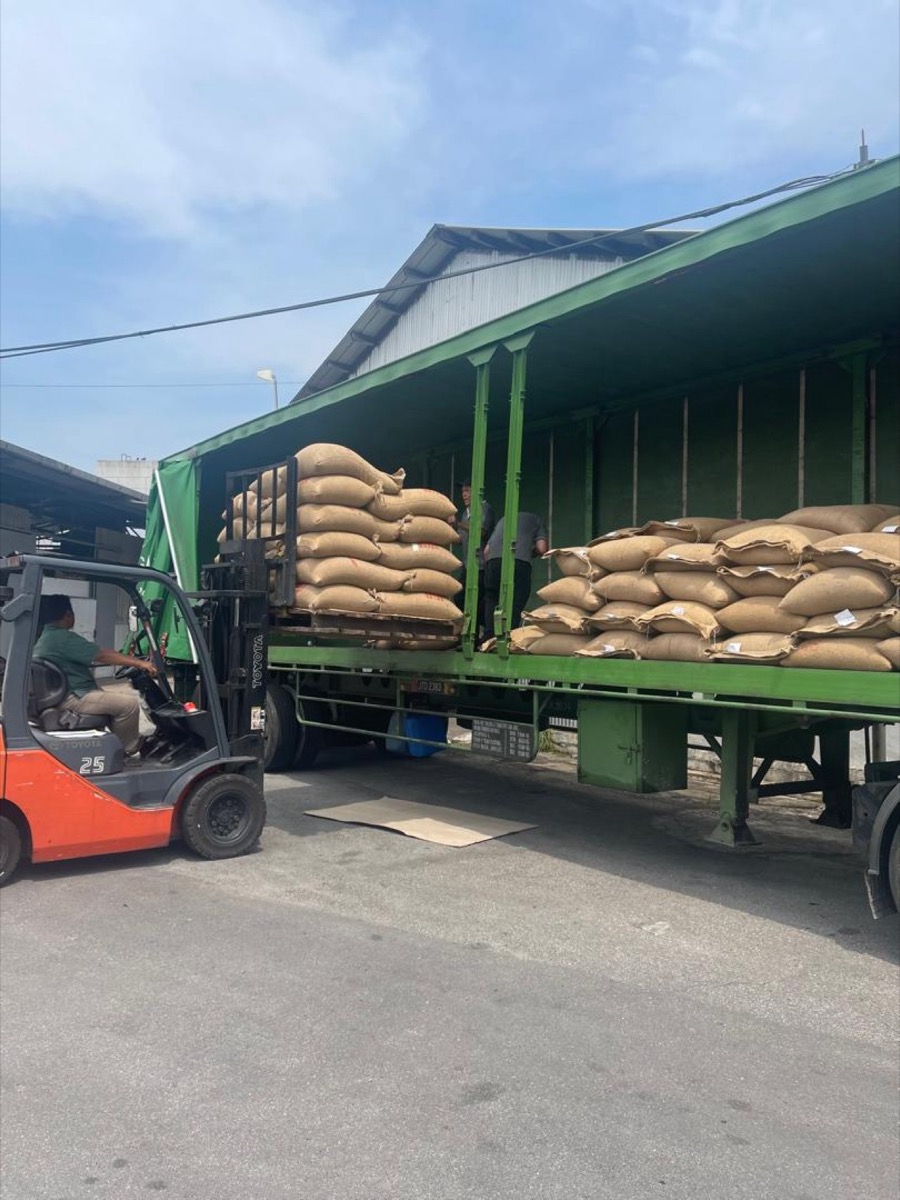 Arabica green coffee delivery loading on truck in Malaysia