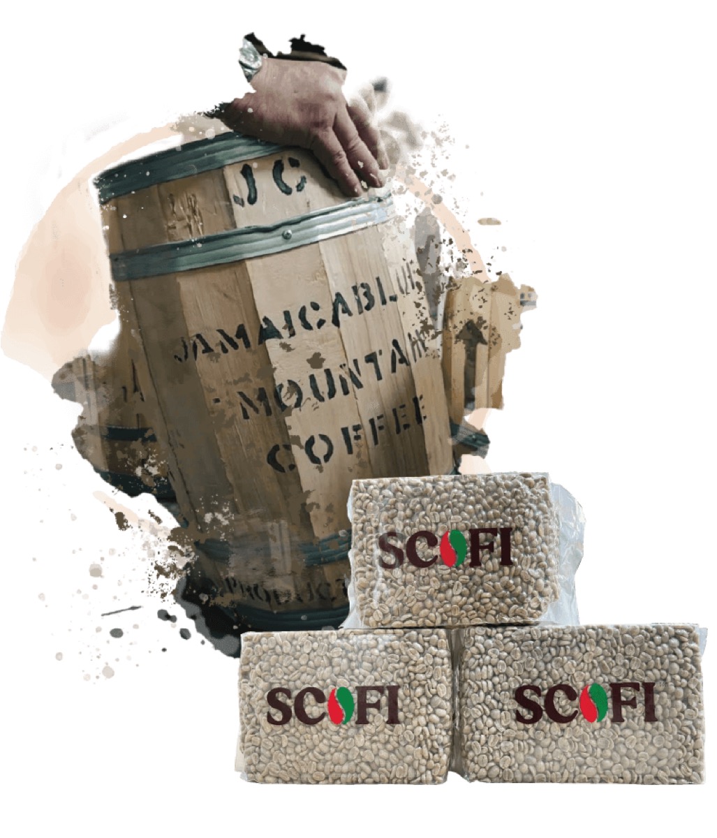 How to buy green coffee with Scofi: samples, QC, domestic delivery
