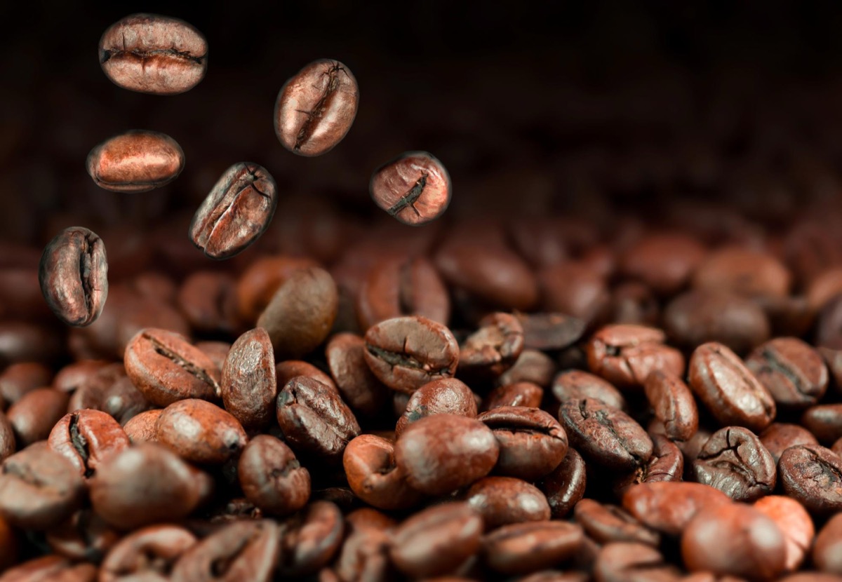 Pacamara Arabica—big bean size and bold flavours for specialty cafés
