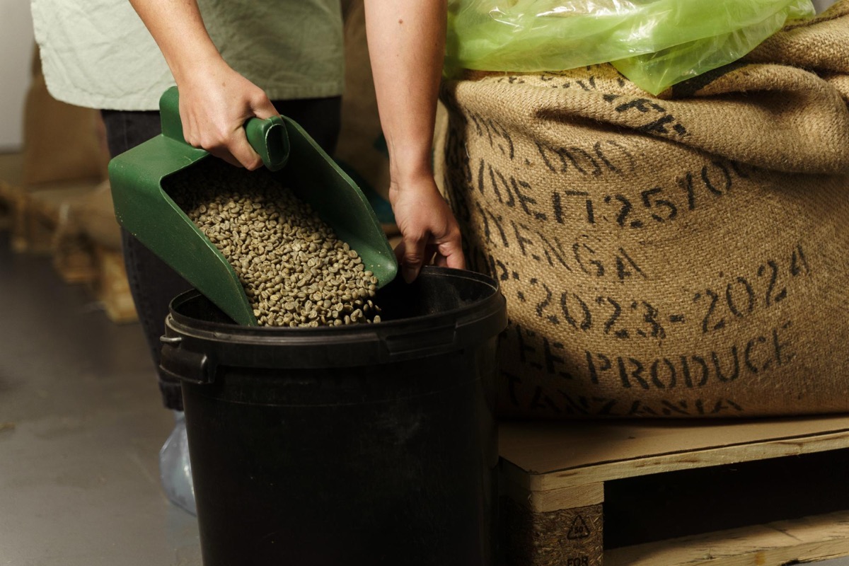 Green coffee storage best practices with pallets and bag liners