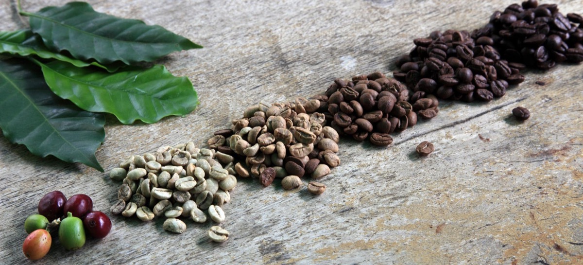 Rare Arabica varieties—exotic types, limited supply, higher prices