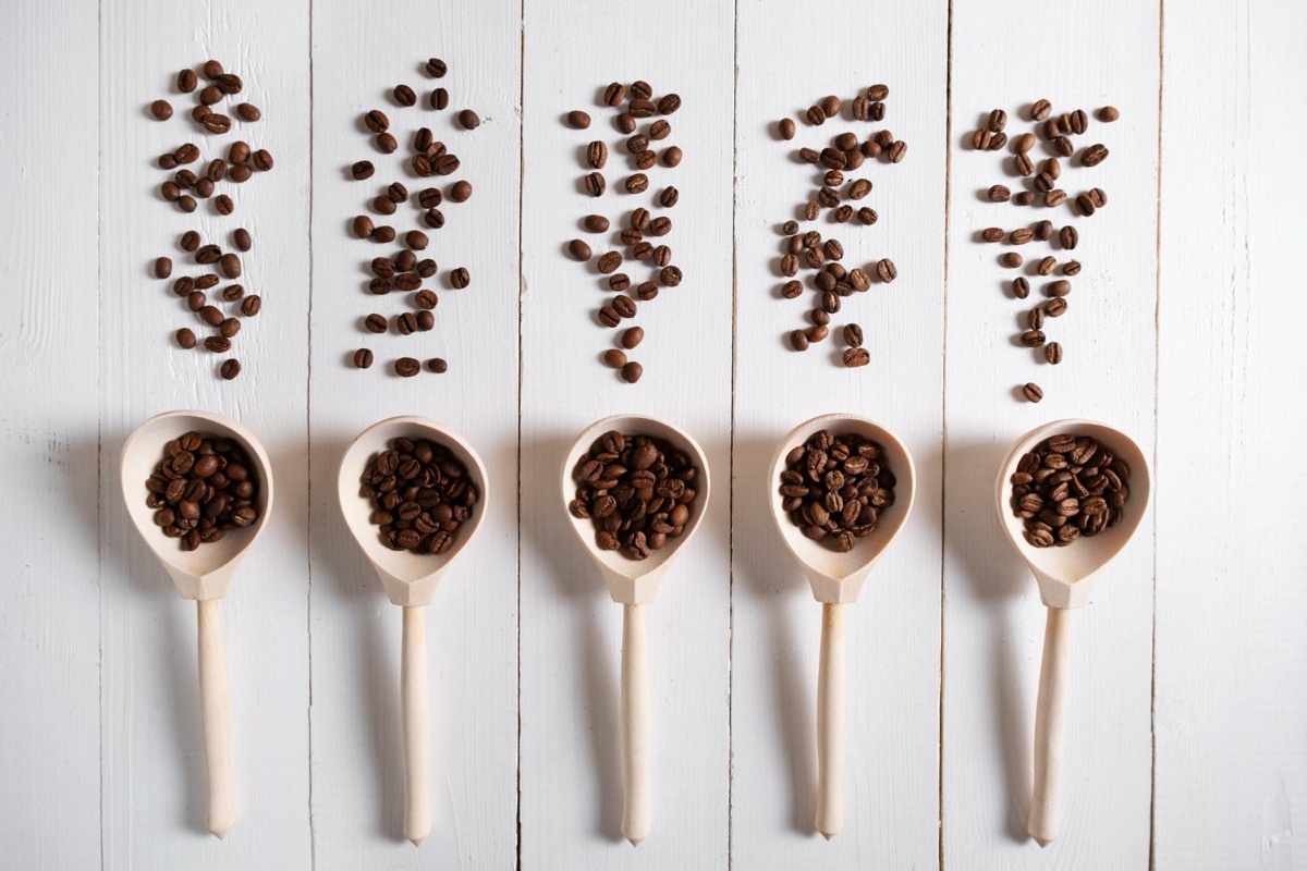 Roasting levels of Arabica coffee beans from light to dark
