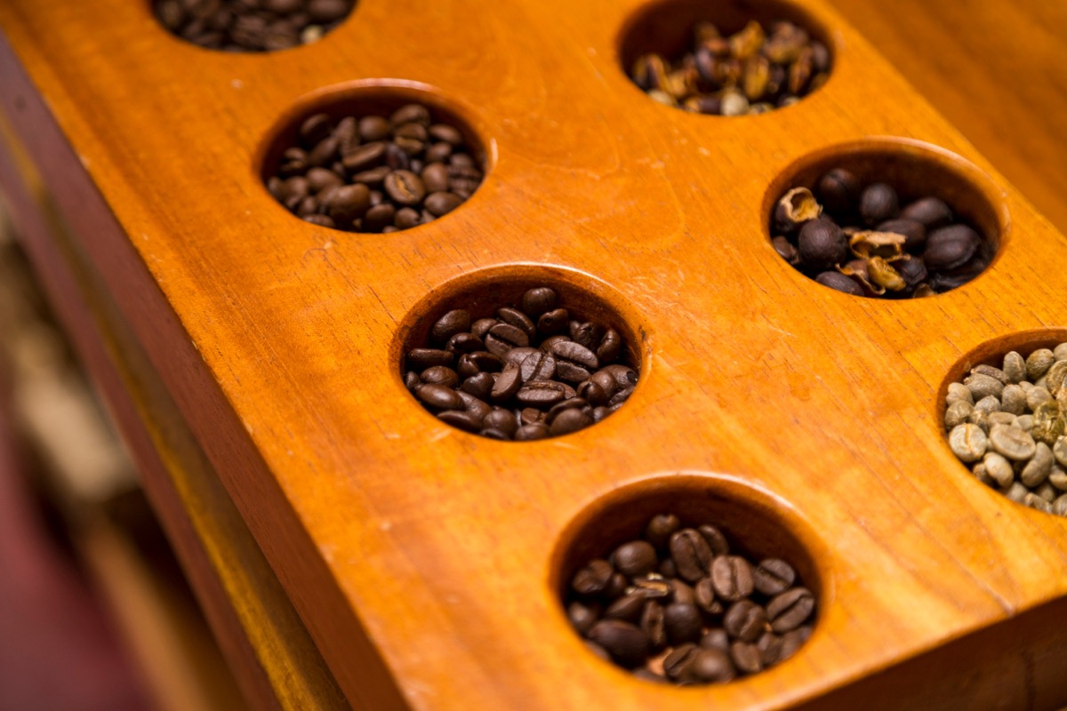 SCA cupping setup with bowls, spoons and score sheets