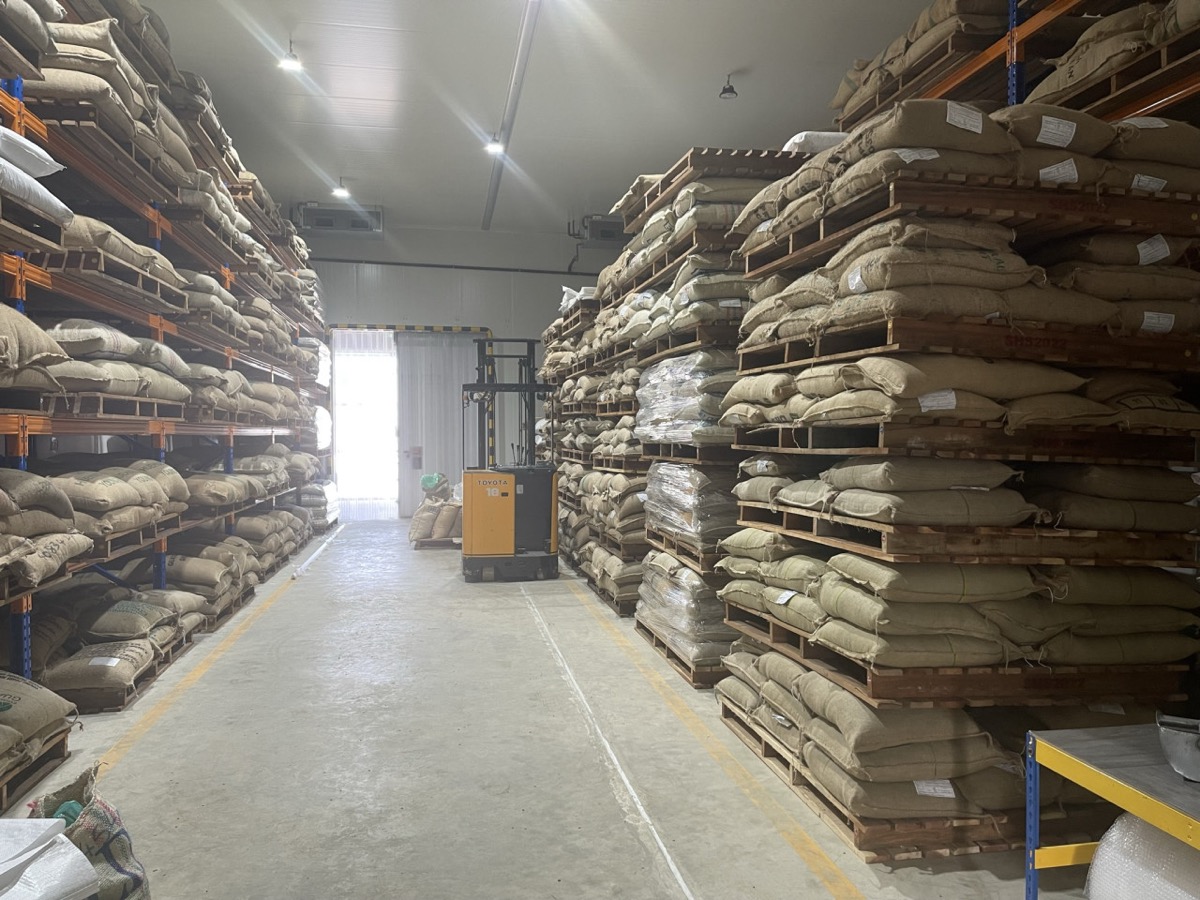 Scofi Malaysia — green Arabica coffee supplier with local stock