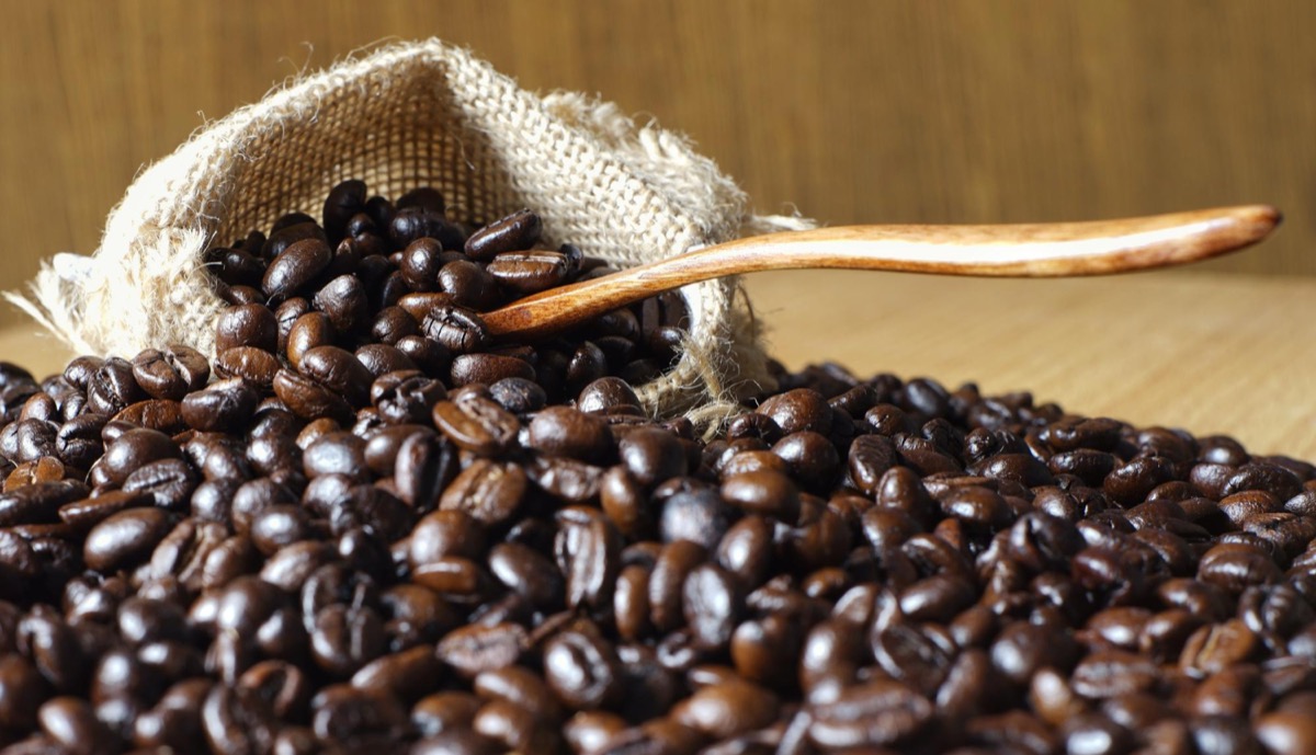 Typica Arabica variety guide by Scofi