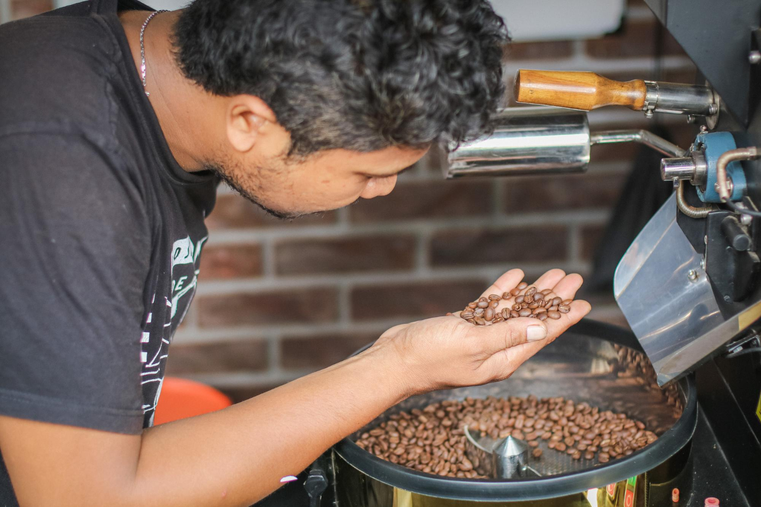 Drum roaster with Indonesian wet-hulled coffee beans