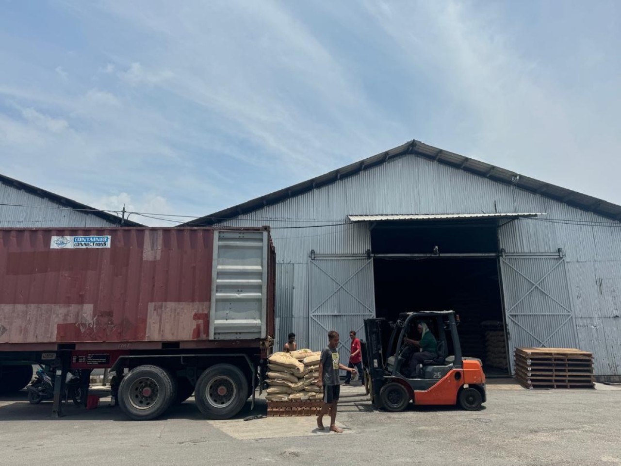 Wholesale green coffee inventory ready in Malaysia warehouse