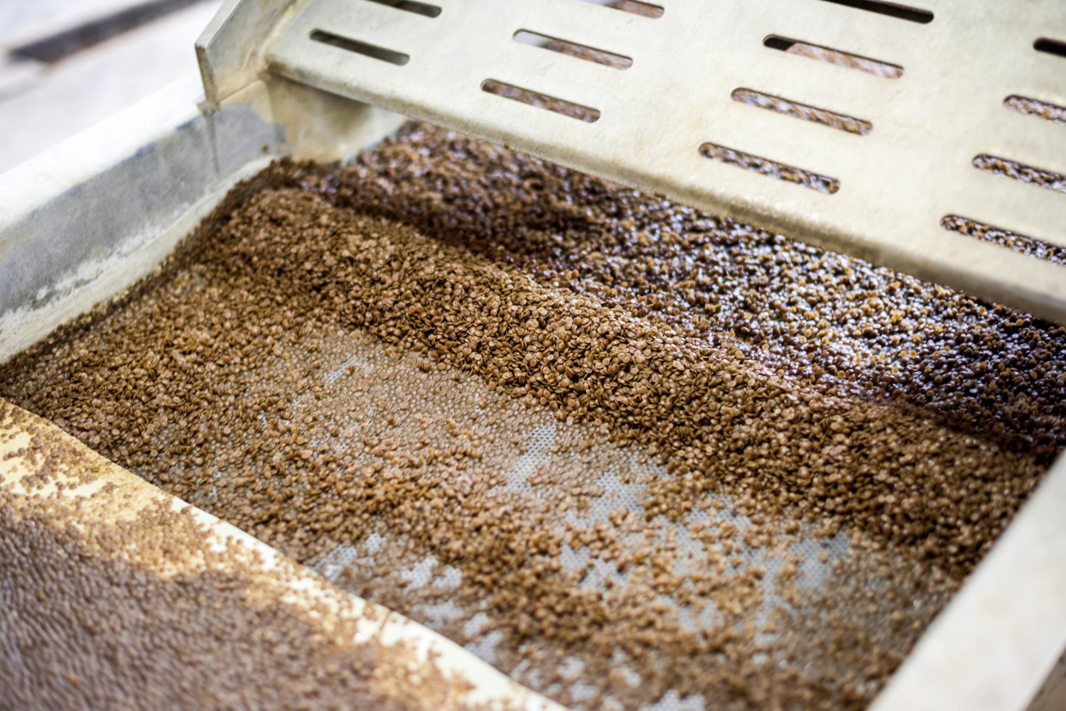 Sealed tanks used for anaerobic and carbonic maceration coffee processing
