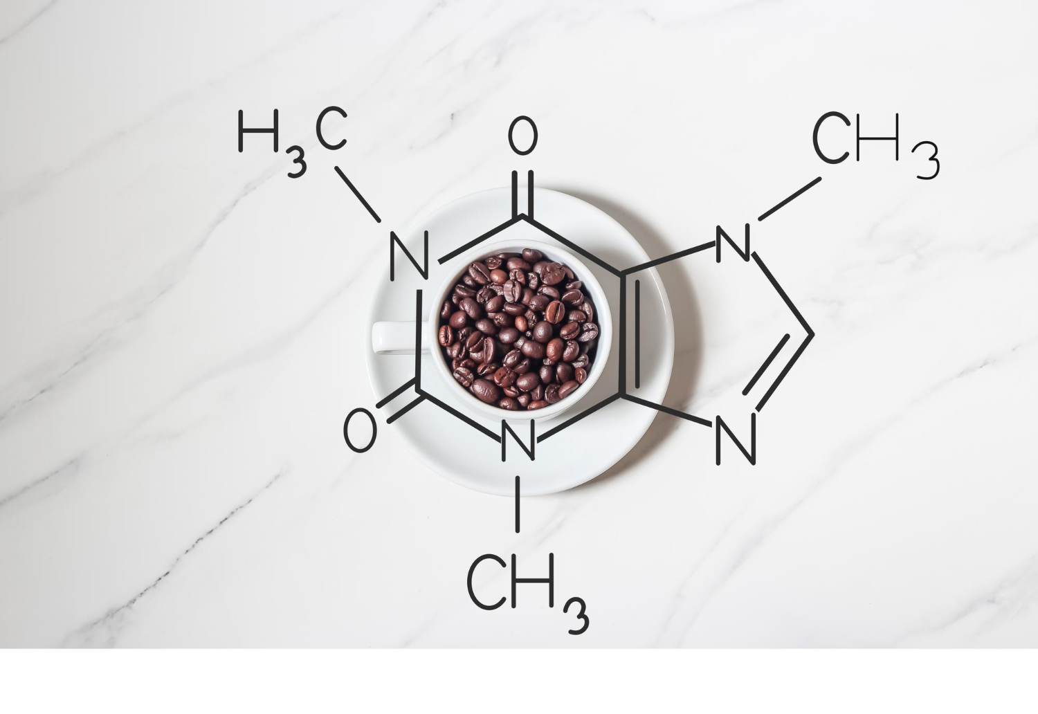 Arabica coffee beans and a cup representing antioxidants and polyphenols