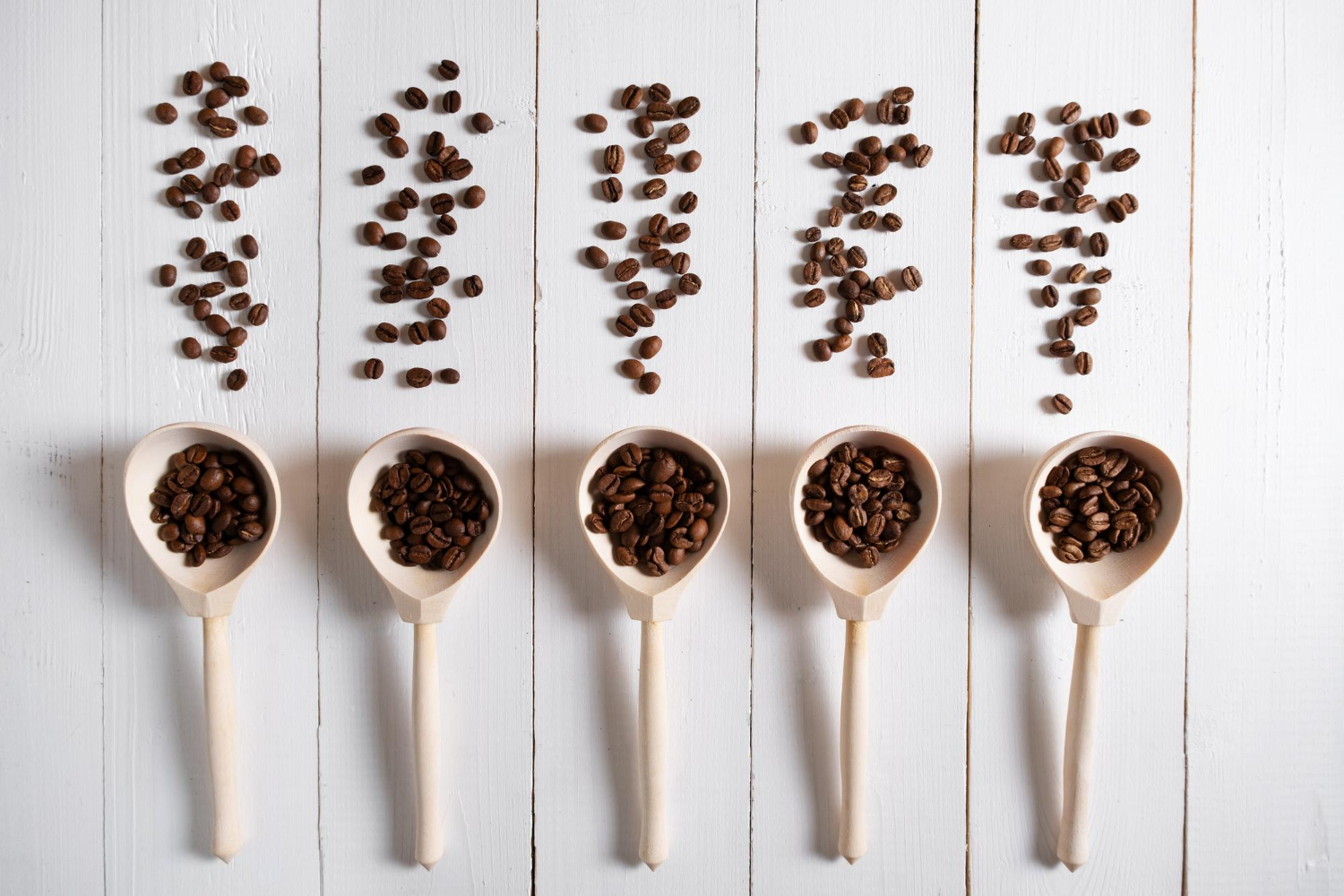 Roasting levels of Arabica coffee beans from light to dark