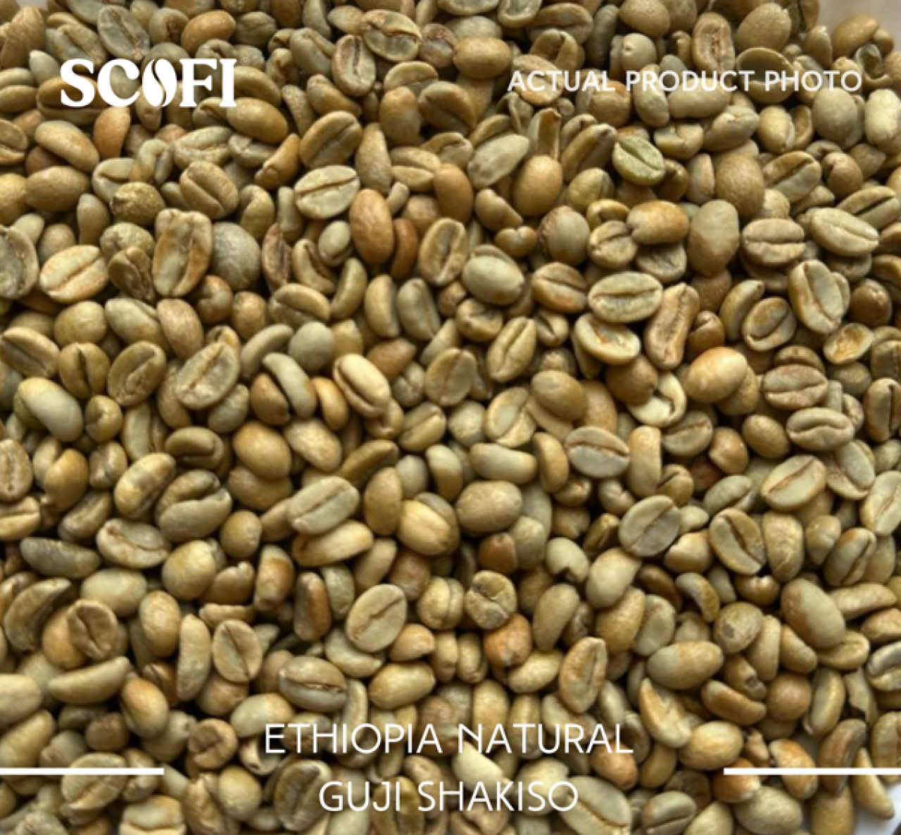 Malaysia's Best Raw Ethiopia Natural Guji Shakiso