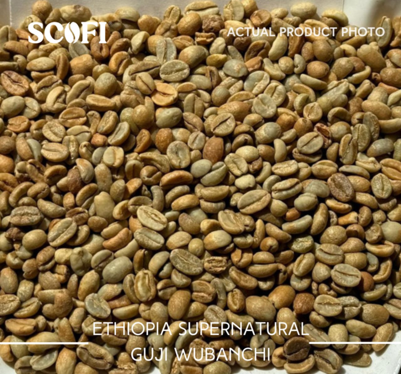 Malaysia's Best Raw Ethiopia Supernatural Guji Wubanchi